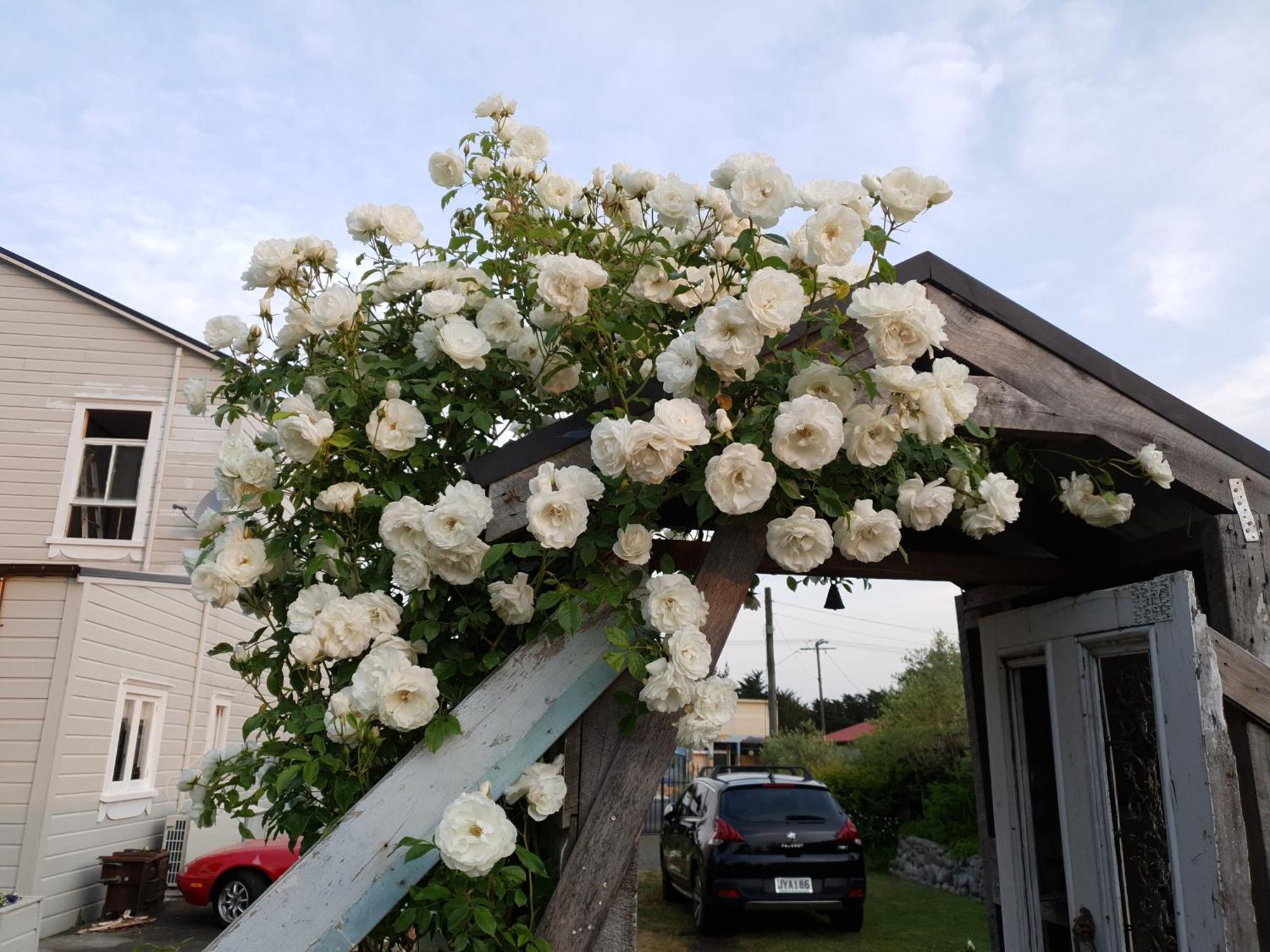 Belle Ame Bed & Breakfast Takapau Dış mekan fotoğraf