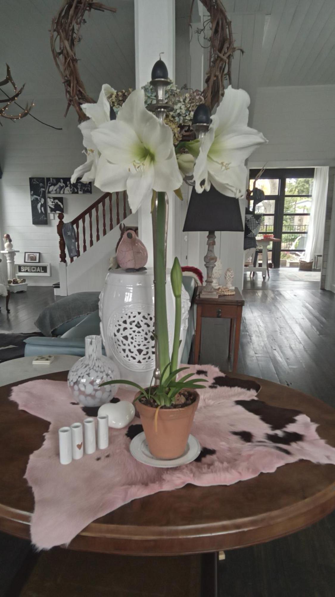 Belle Ame Bed & Breakfast Takapau Dış mekan fotoğraf